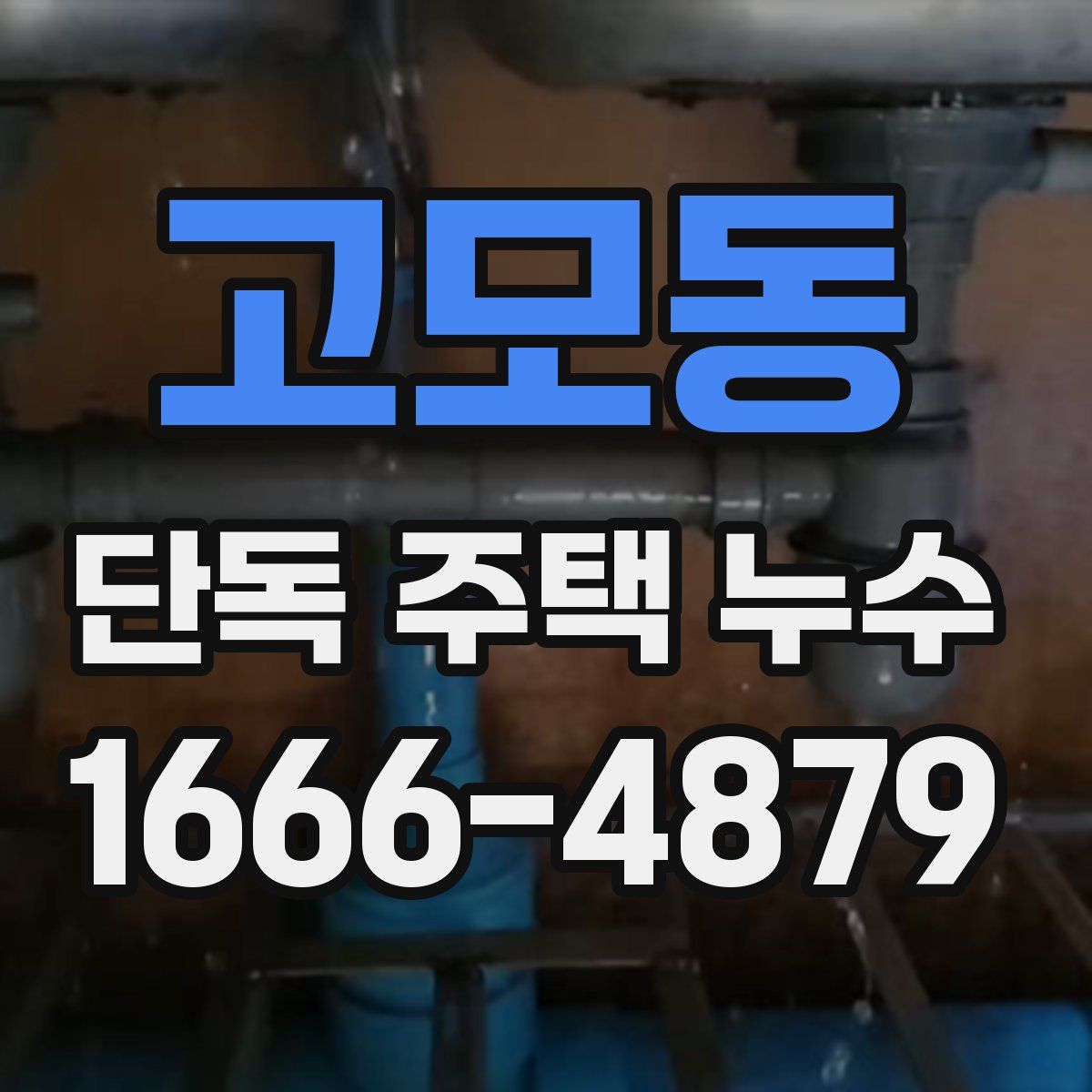 고모동 단독 주택 누수