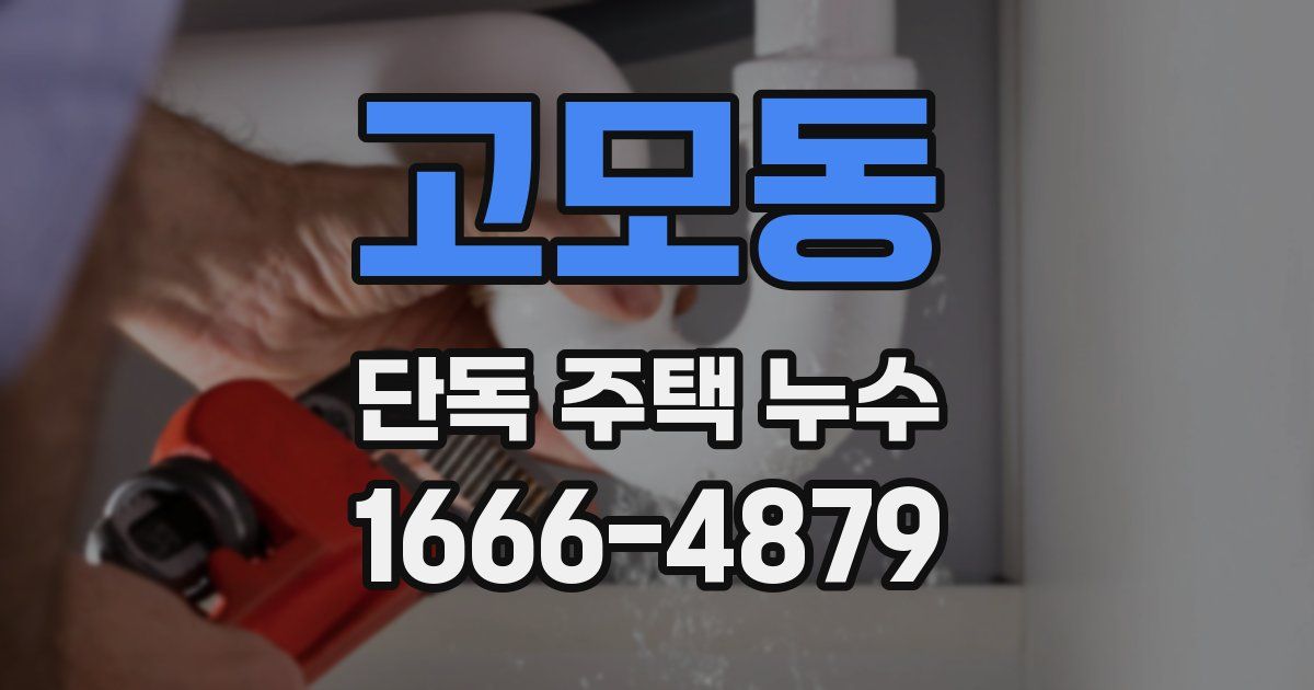 고모동 단독 주택 누수