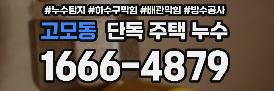 고모동 단독 주택 누수