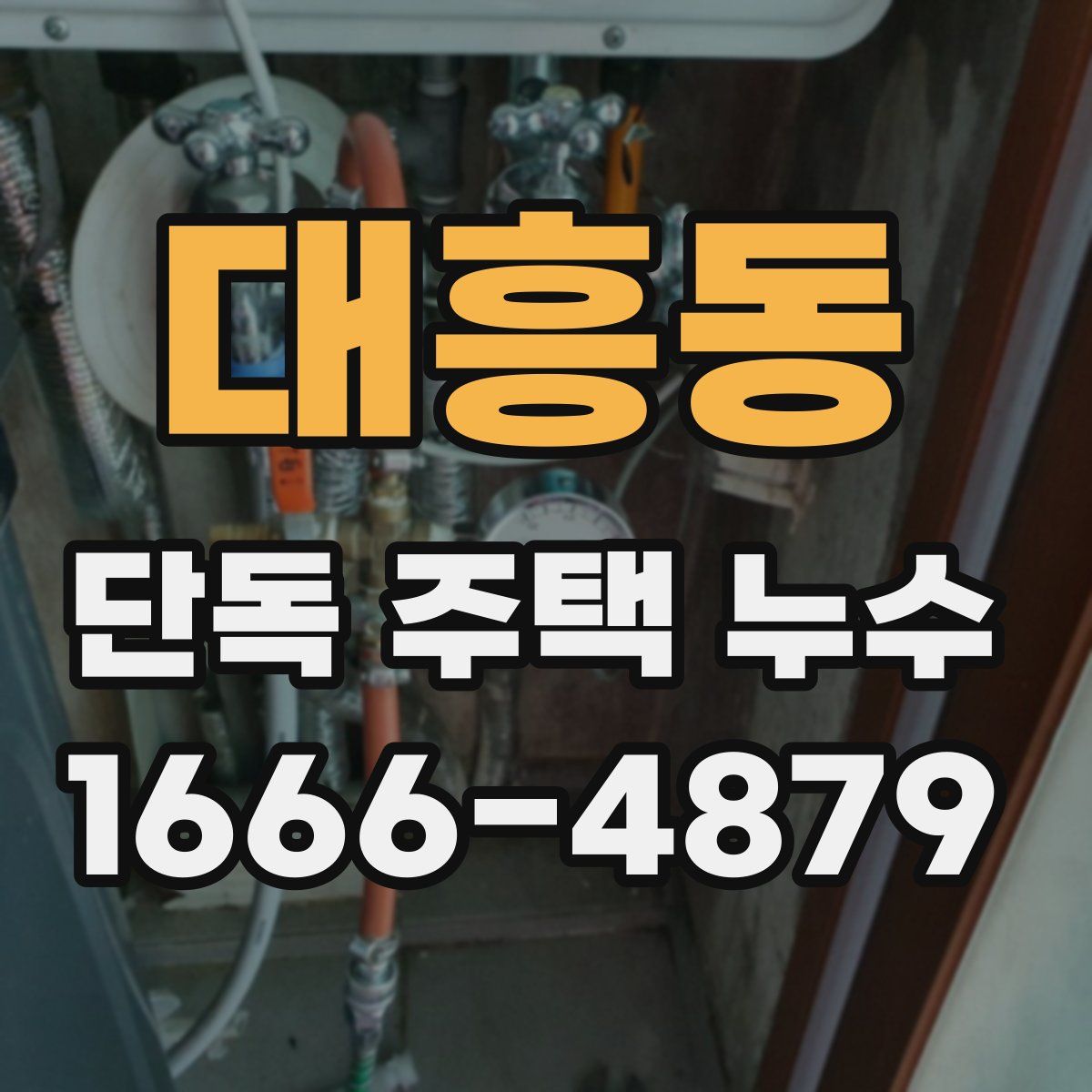 대흥동 단독 주택 누수