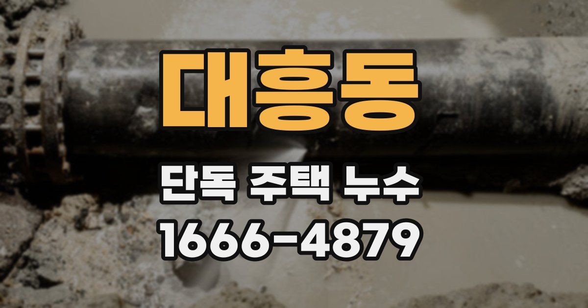 대흥동 단독 주택 누수