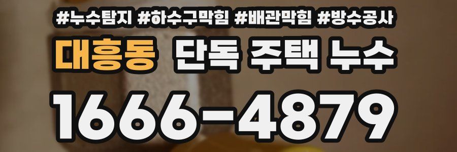 대흥동 단독 주택 누수