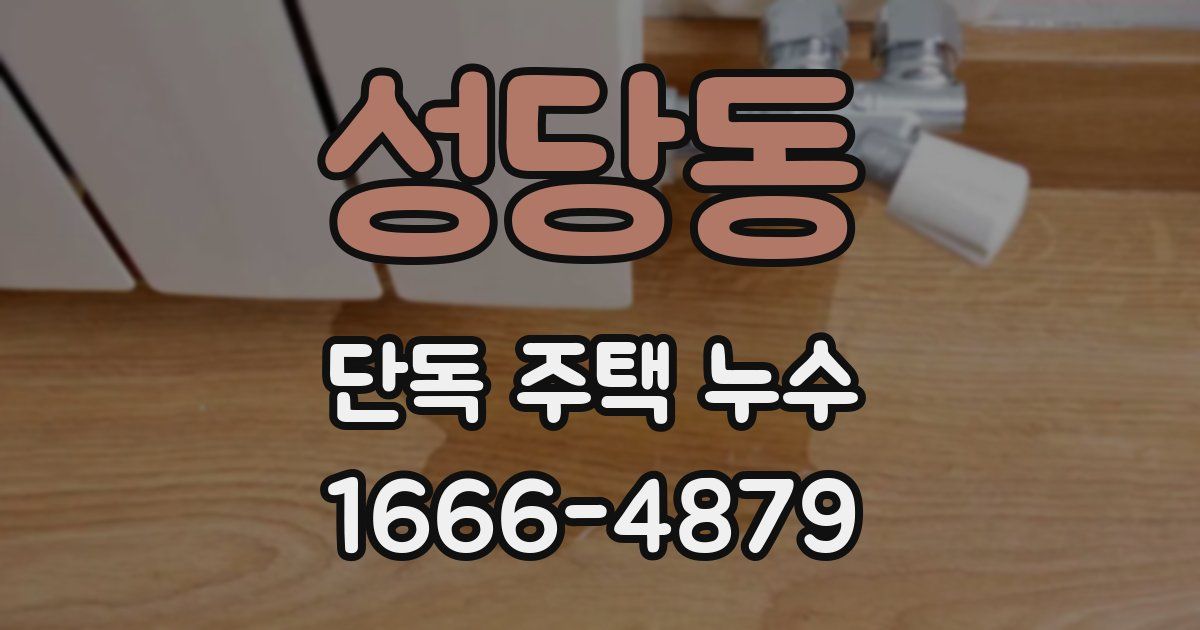 성당동 단독 주택 누수