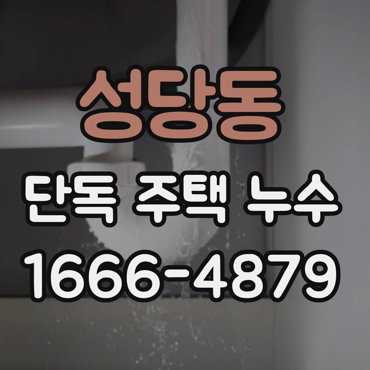 성당동 단독 주택 누수