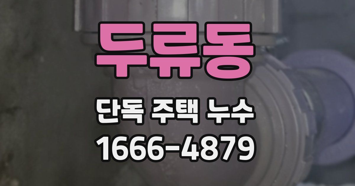 두류동 단독 주택 누수