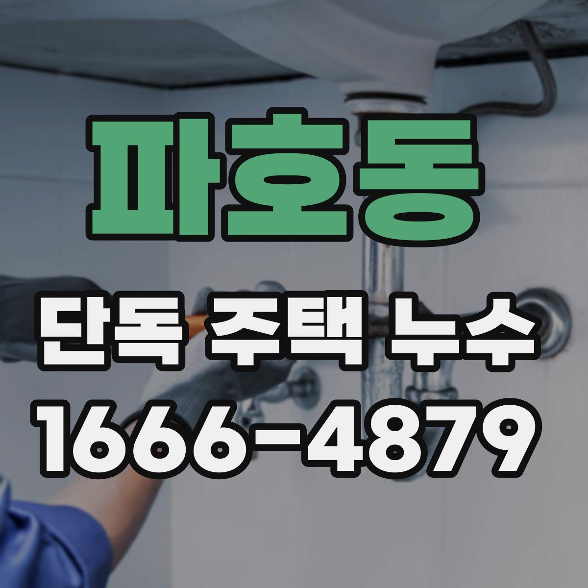 파호동 단독 주택 누수