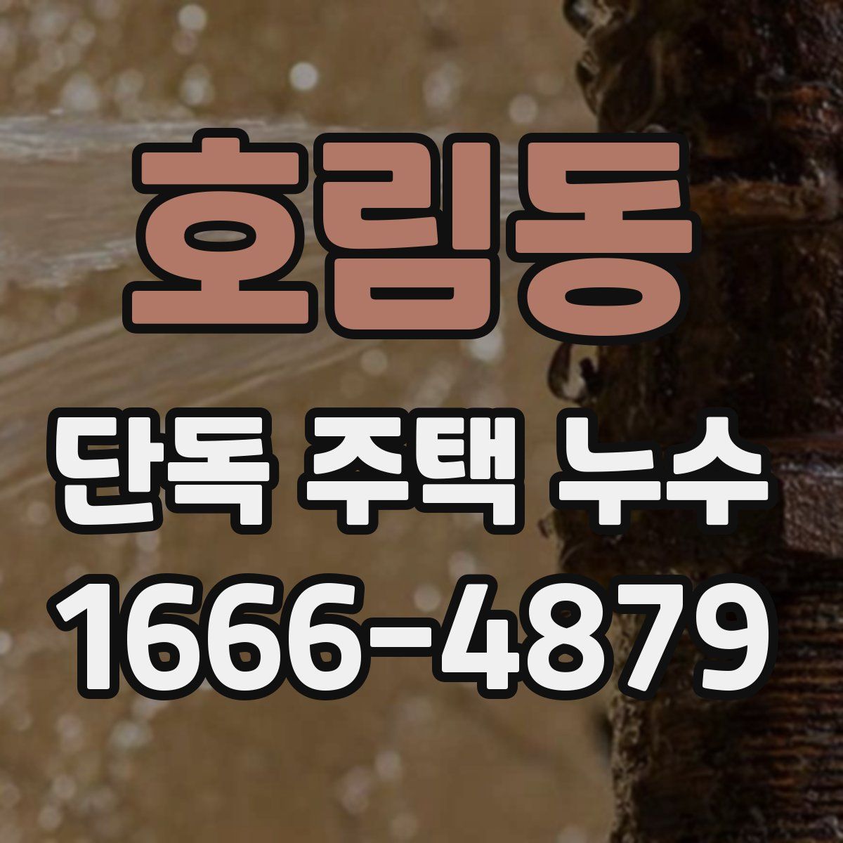 호림동 단독 주택 누수
