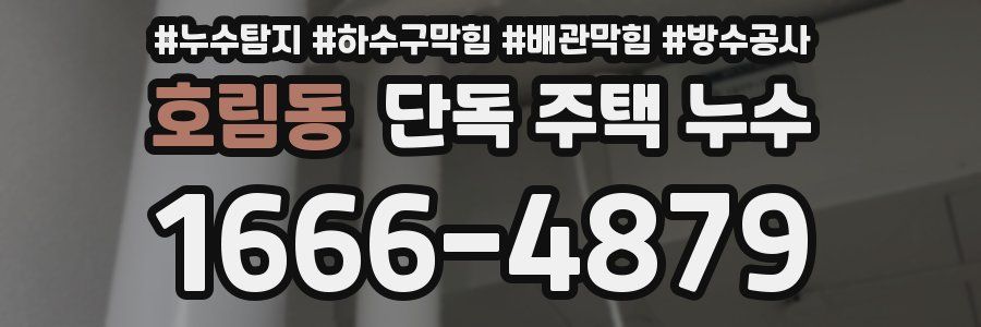호림동 단독 주택 누수