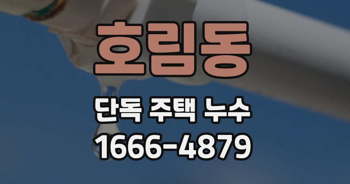 호림동 단독 주택 누수