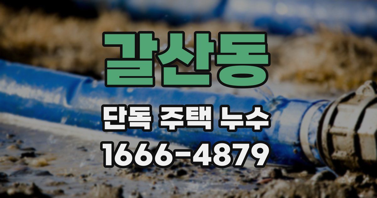 갈산동 단독 주택 누수