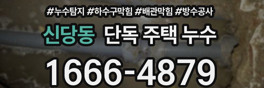 신당동 단독 주택 누수