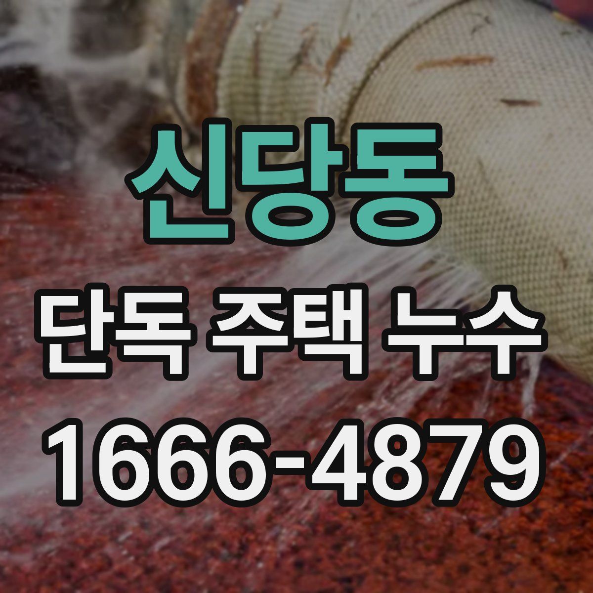 신당동 단독 주택 누수