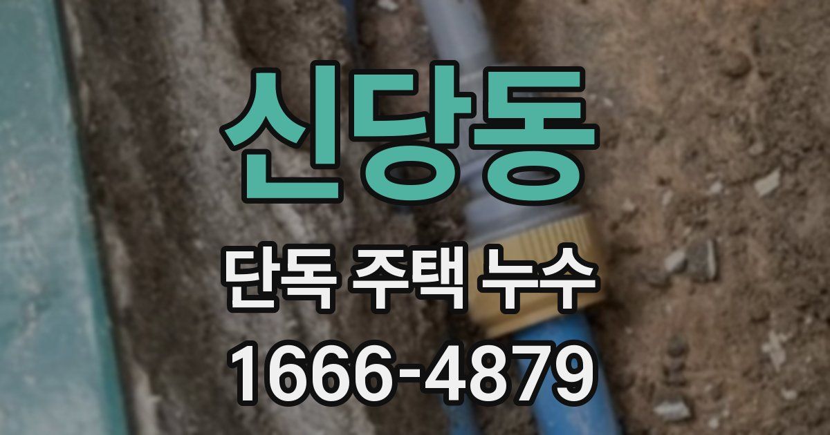 신당동 단독 주택 누수
