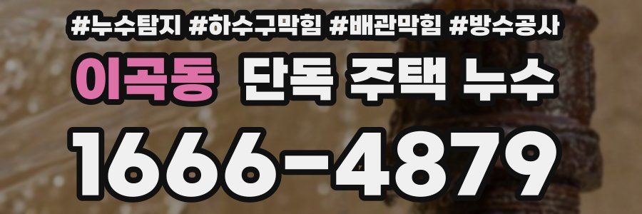 이곡동 단독 주택 누수