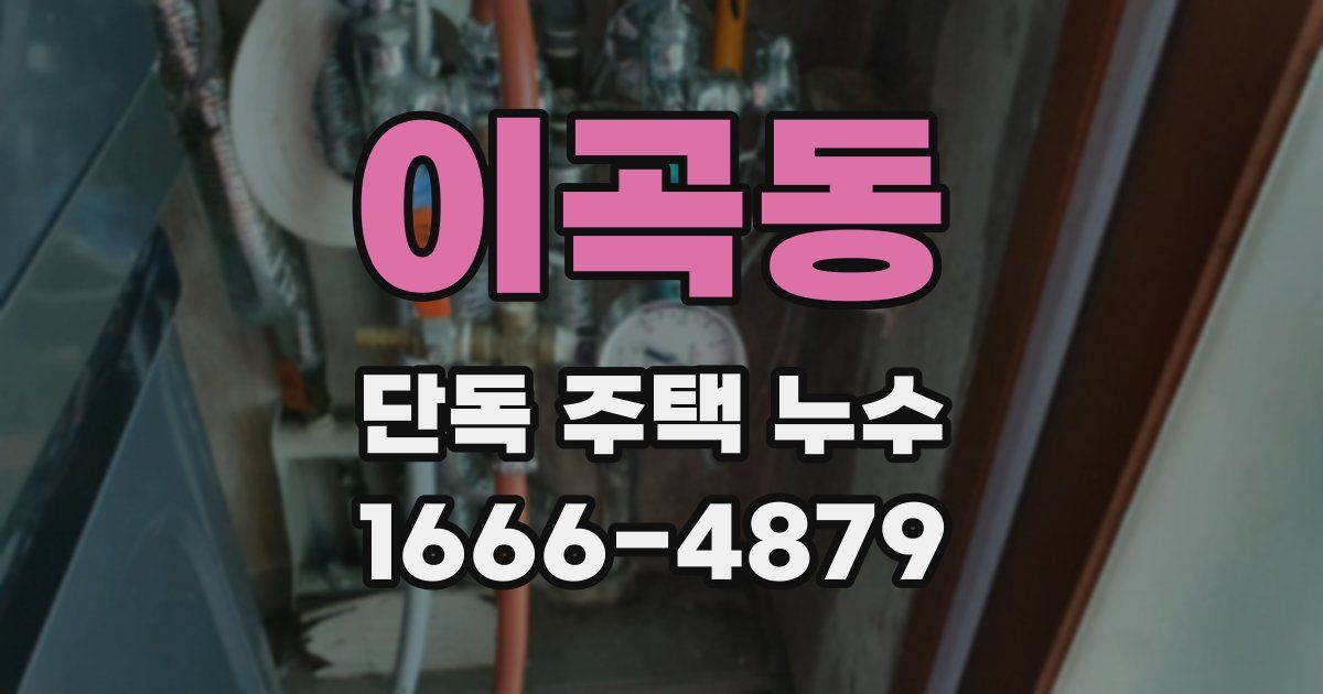 이곡동 단독 주택 누수