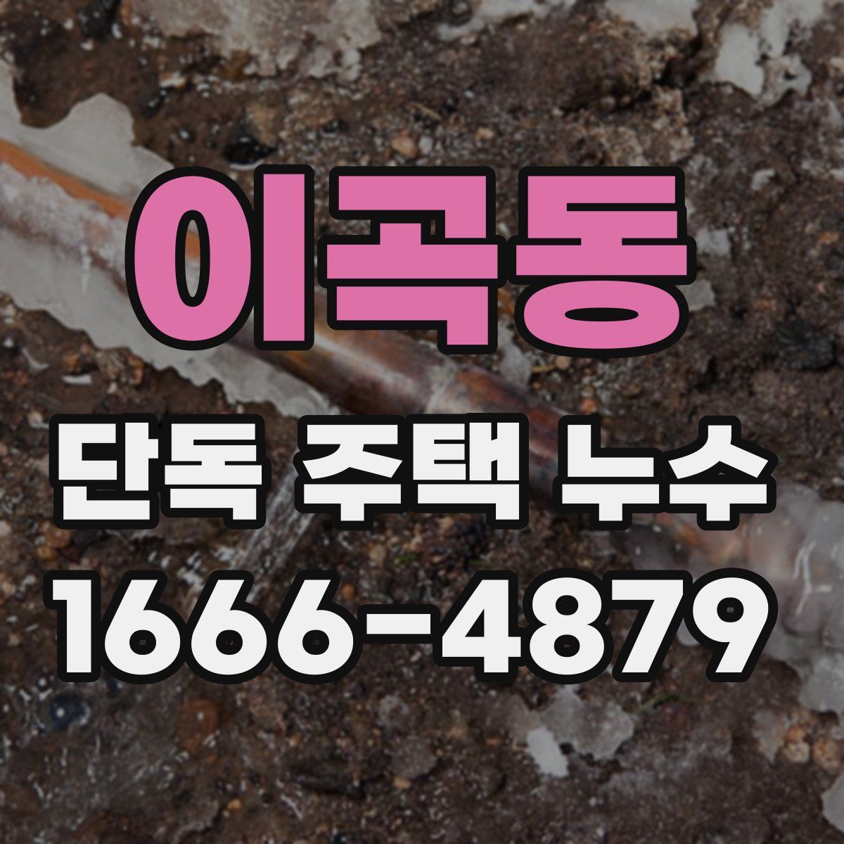 이곡동 단독 주택 누수