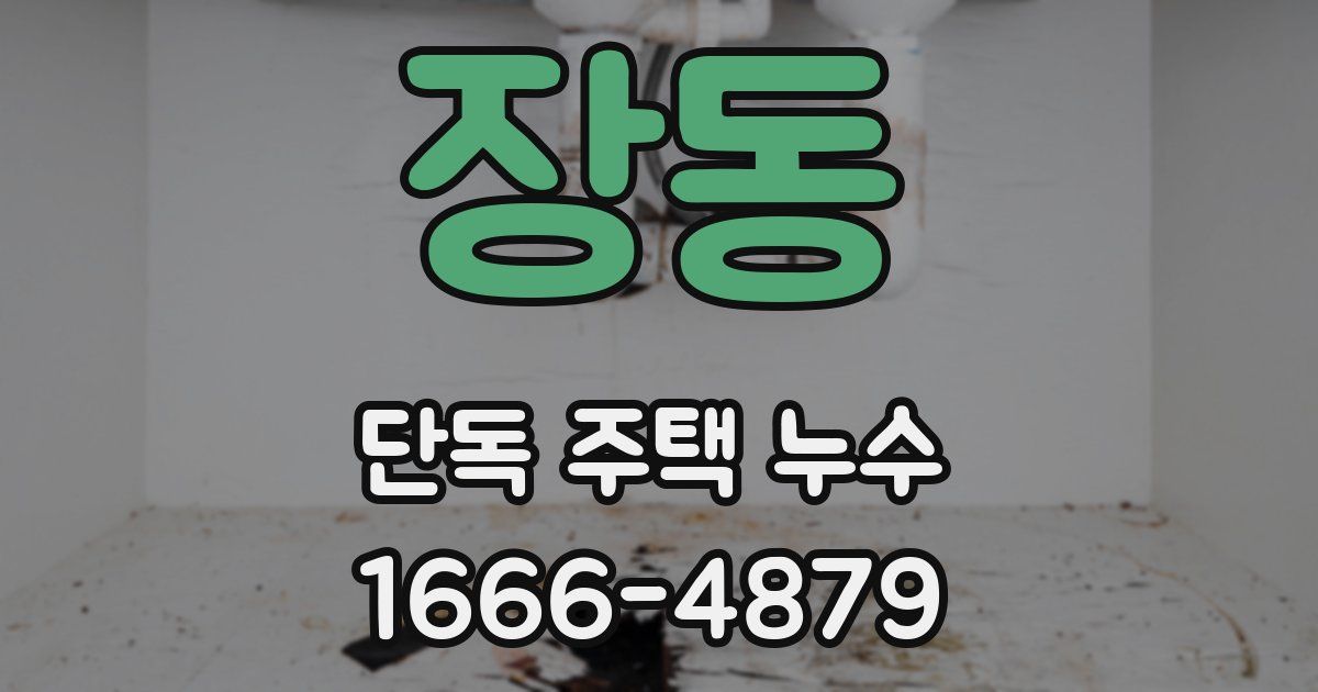 장동 단독 주택 누수