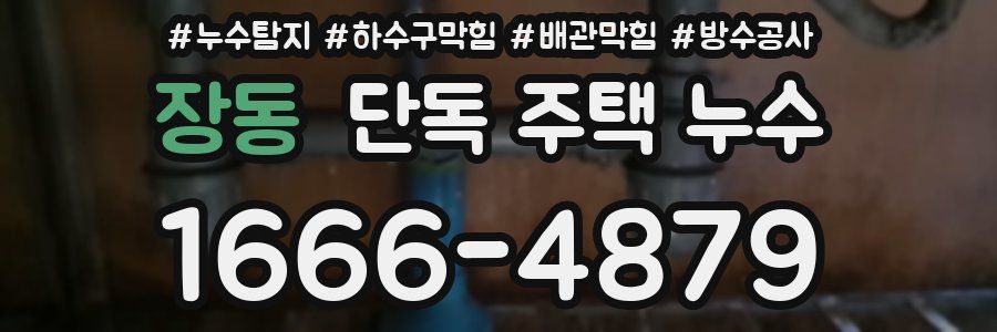 장동 단독 주택 누수