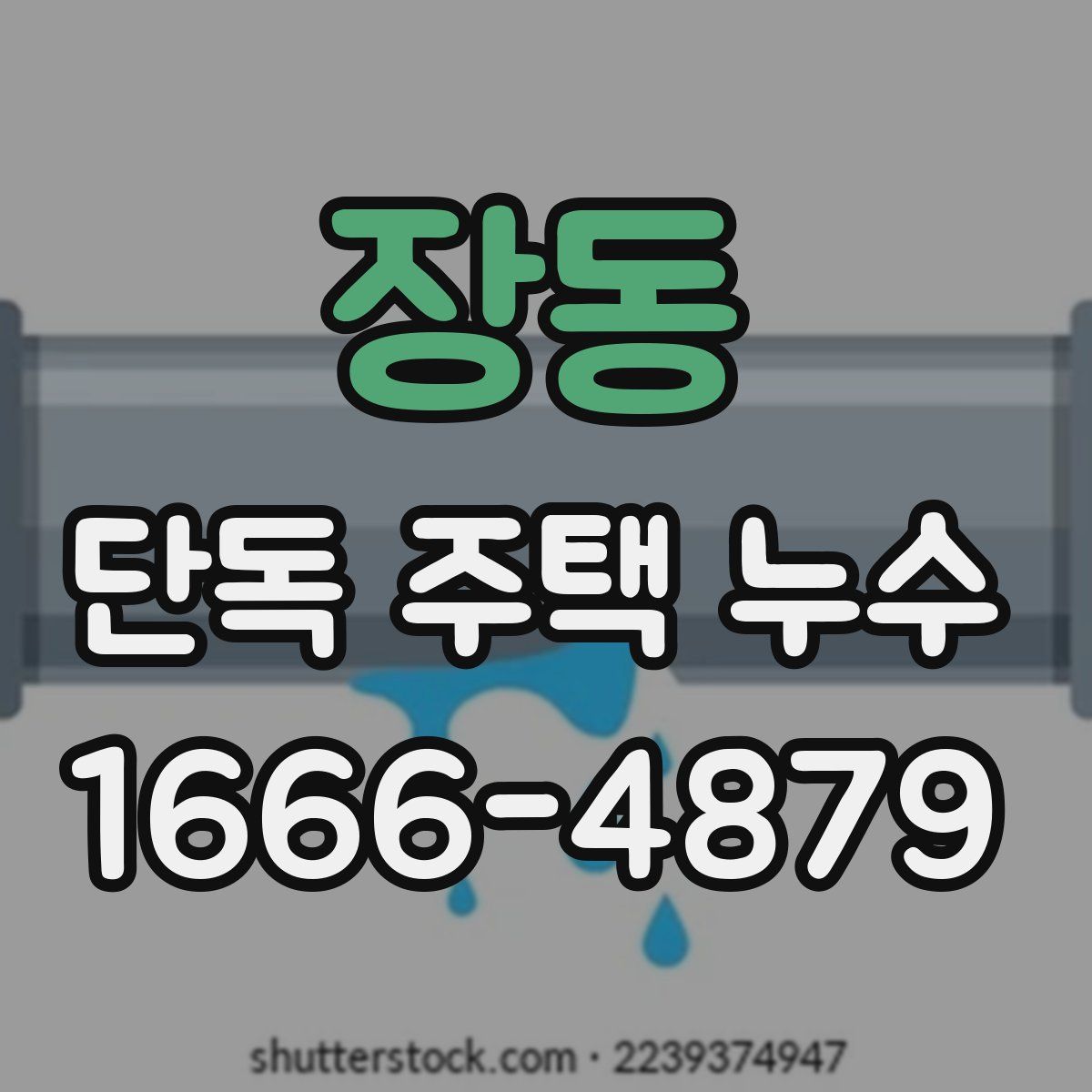 장동 단독 주택 누수