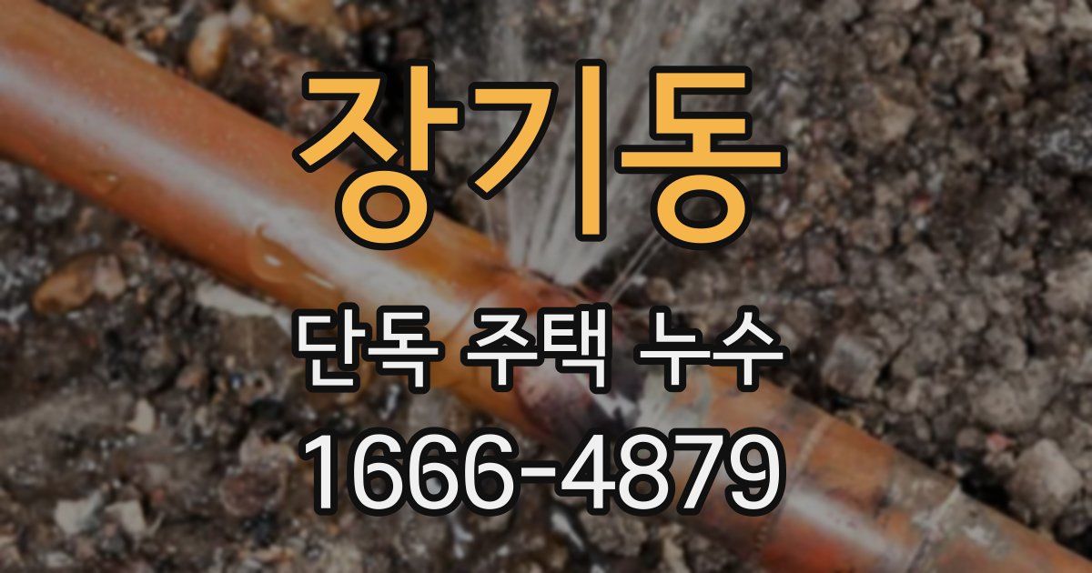 장기동 단독 주택 누수
