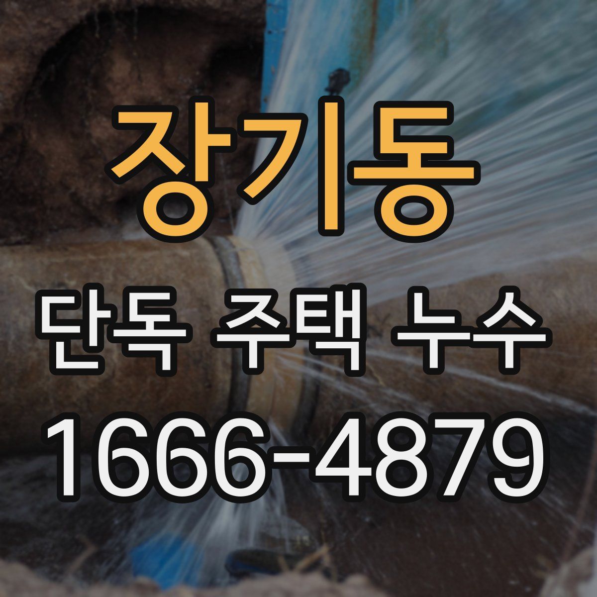 장기동 단독 주택 누수