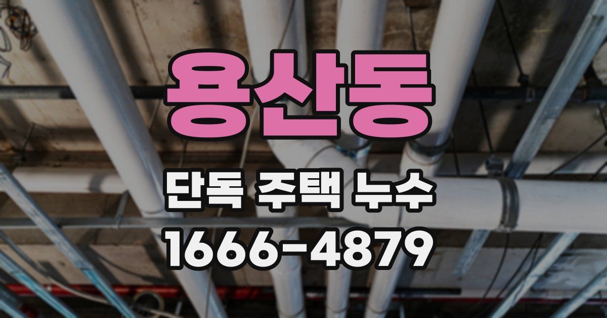 용산동 단독 주택 누수