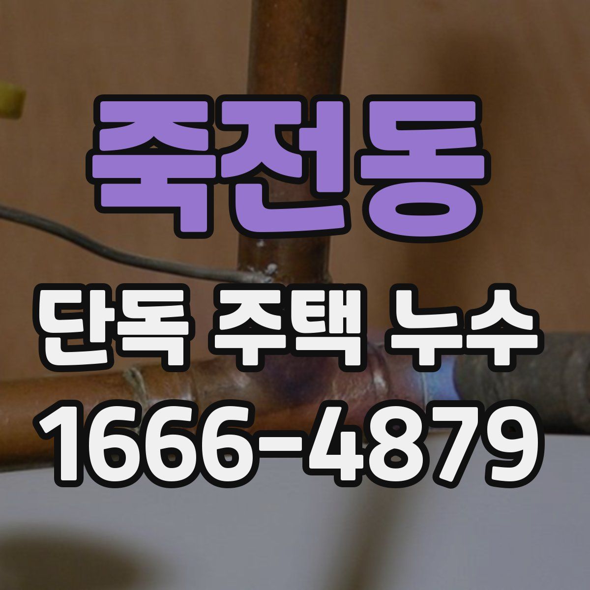 죽전동 단독 주택 누수