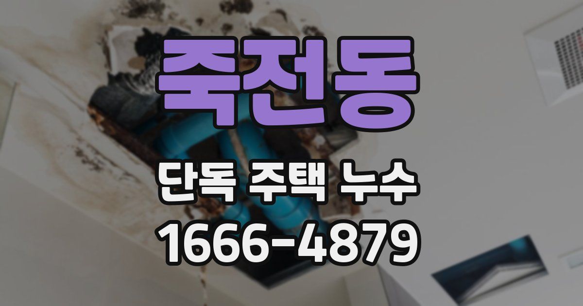 죽전동 단독 주택 누수