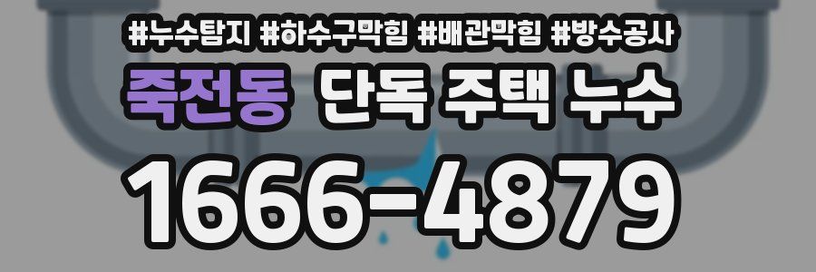 죽전동 단독 주택 누수