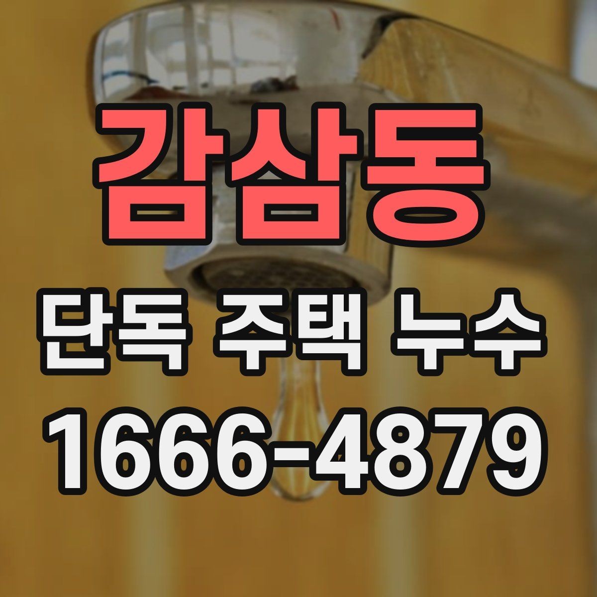 감삼동 단독 주택 누수 실측 전 확인할 사항