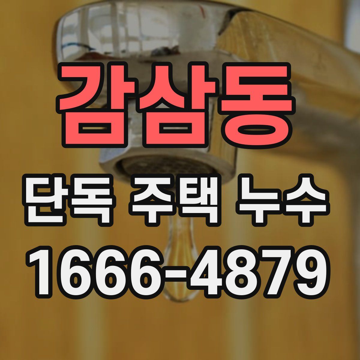 감삼동 단독 주택 누수