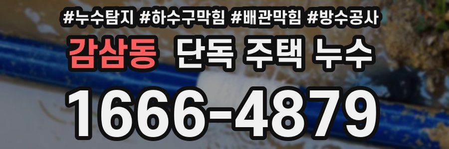 감삼동 단독 주택 누수