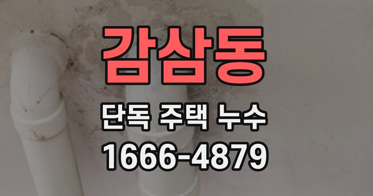 감삼동 단독 주택 누수