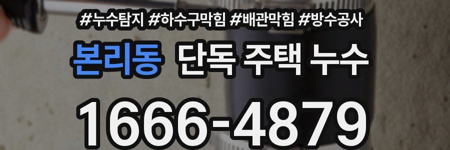 본리동 단독 주택 누수