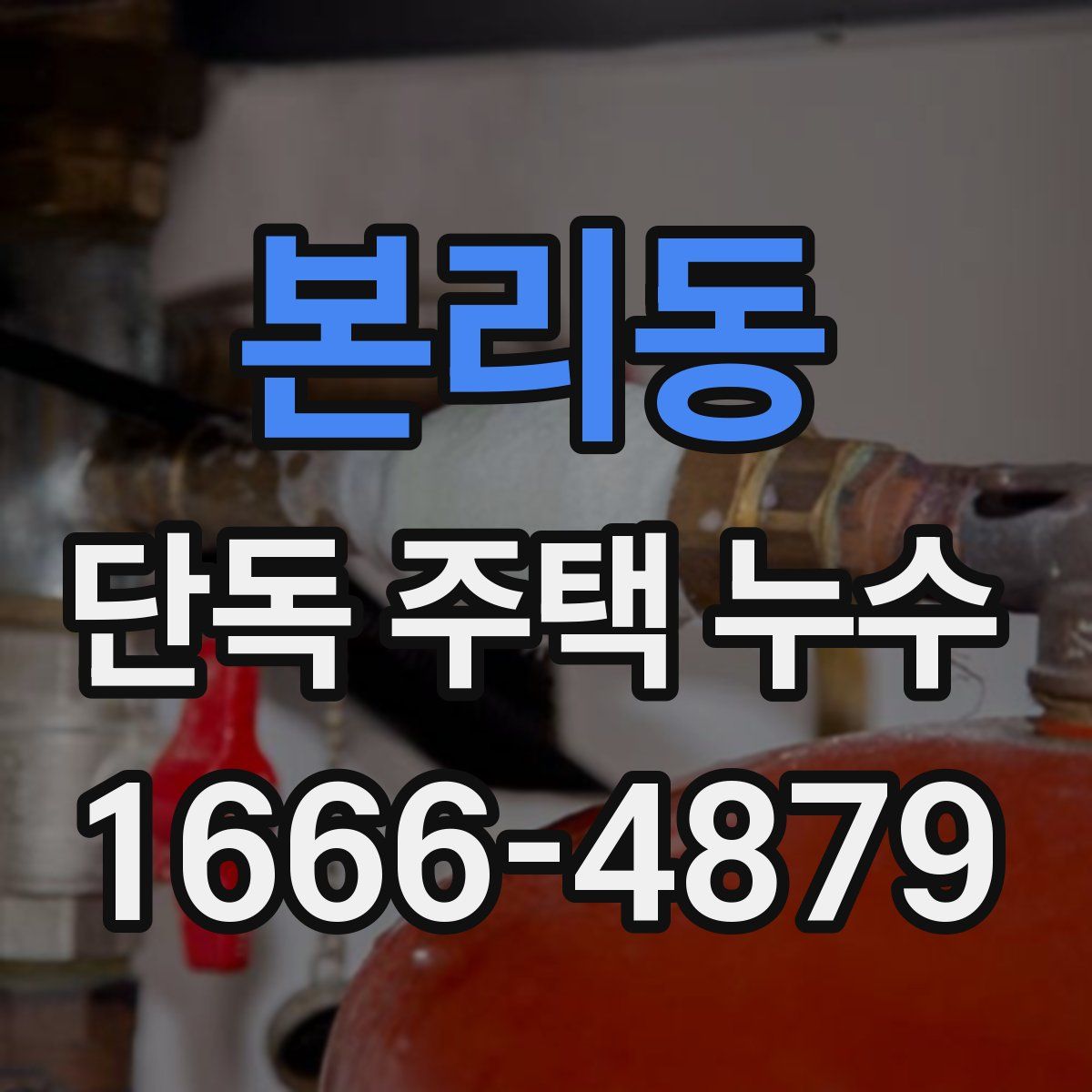 본리동 단독 주택 누수