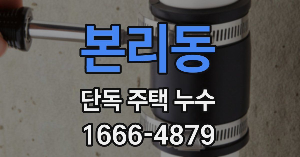 본리동 단독 주택 누수