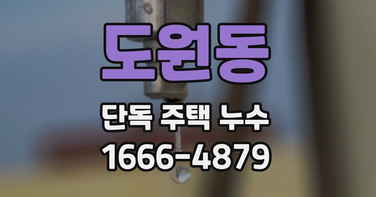 도원동 단독 주택 누수