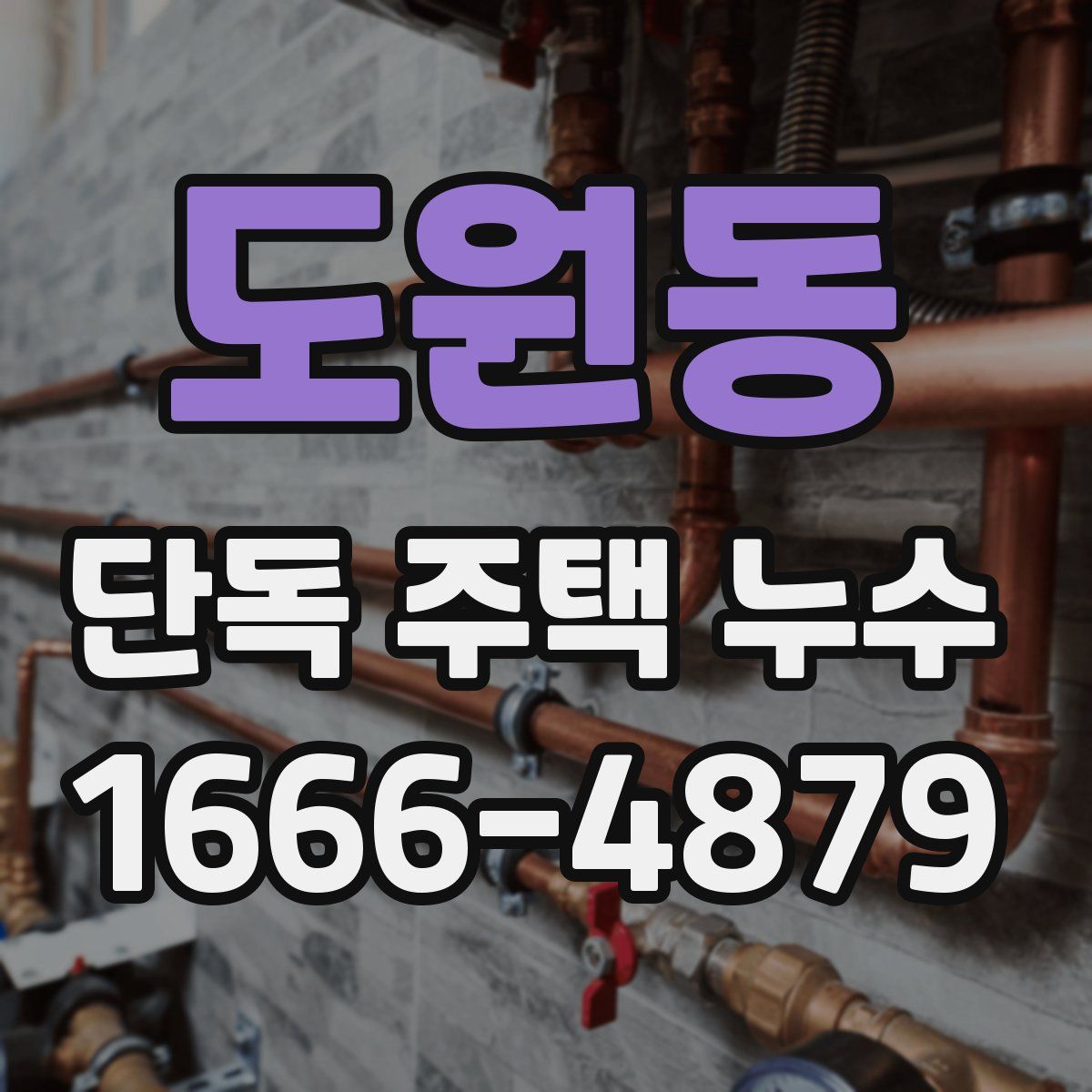 도원동 단독 주택 누수