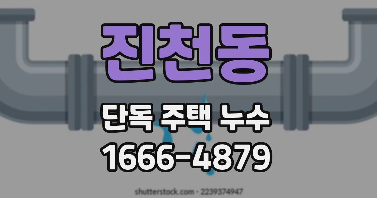 진천동 단독 주택 누수