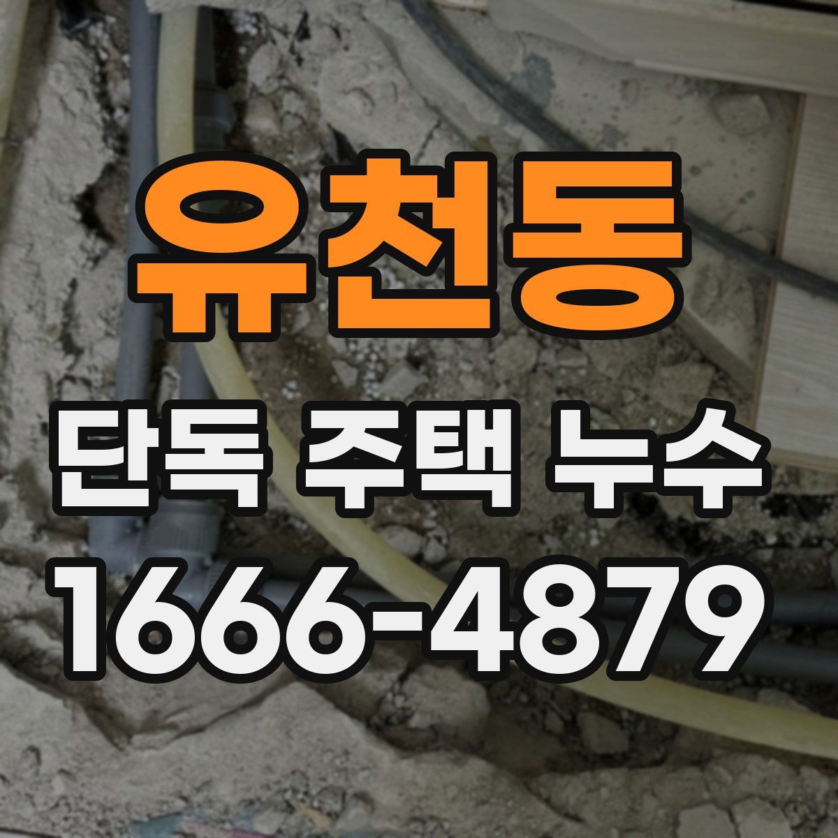 유천동 단독 주택 누수