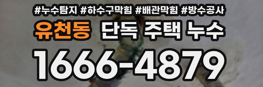 유천동 단독 주택 누수