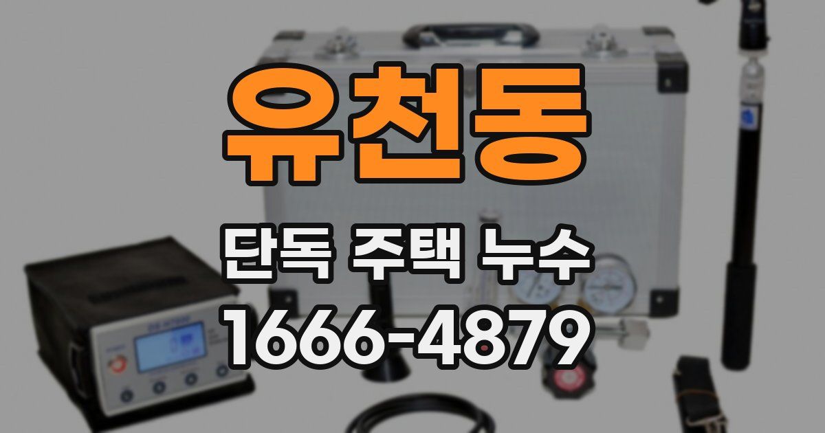 유천동 단독 주택 누수