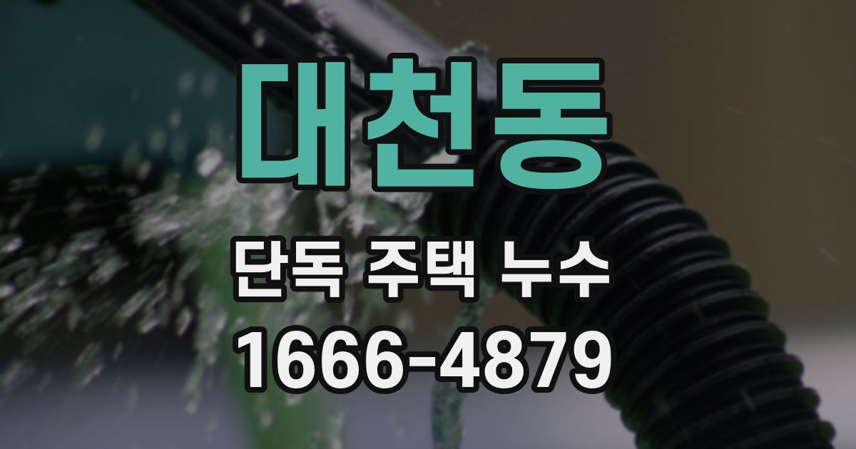 대천동 단독 주택 누수