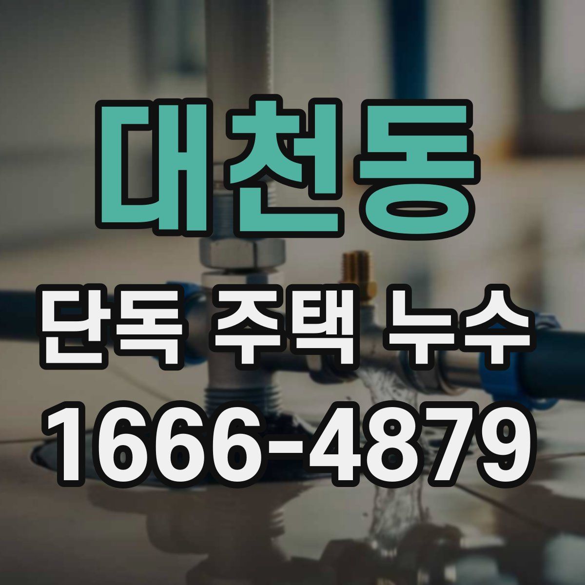 대천동 단독 주택 누수