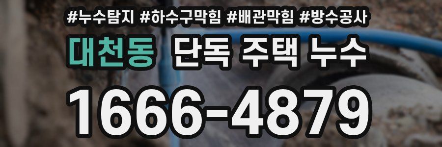 대천동 단독 주택 누수