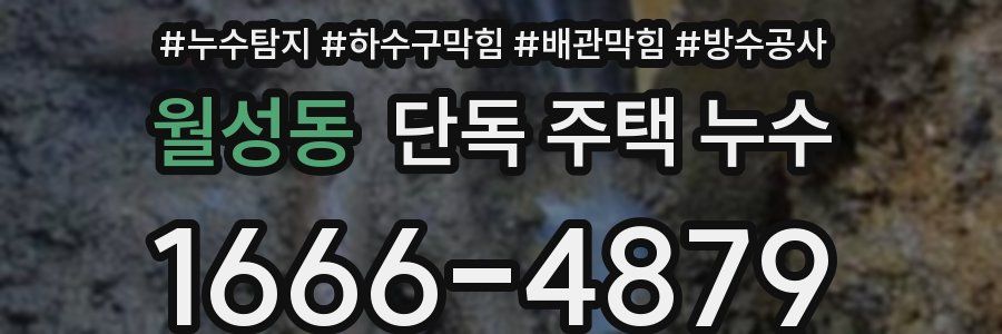 월성동 단독 주택 누수