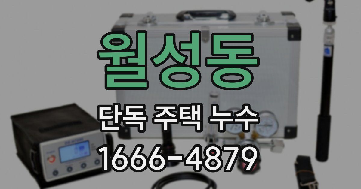 월성동 단독 주택 누수