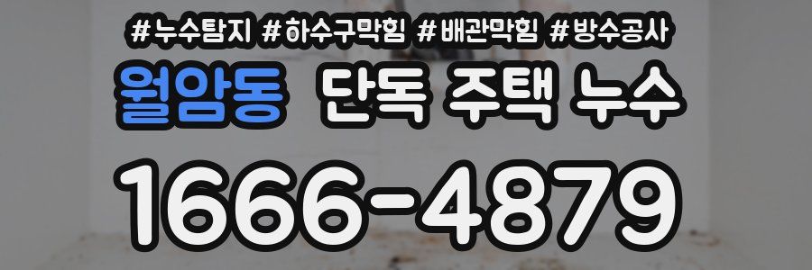 월암동 단독 주택 누수