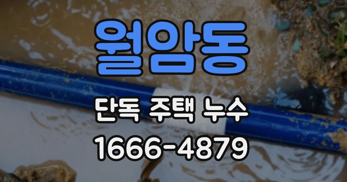 월암동 단독 주택 누수