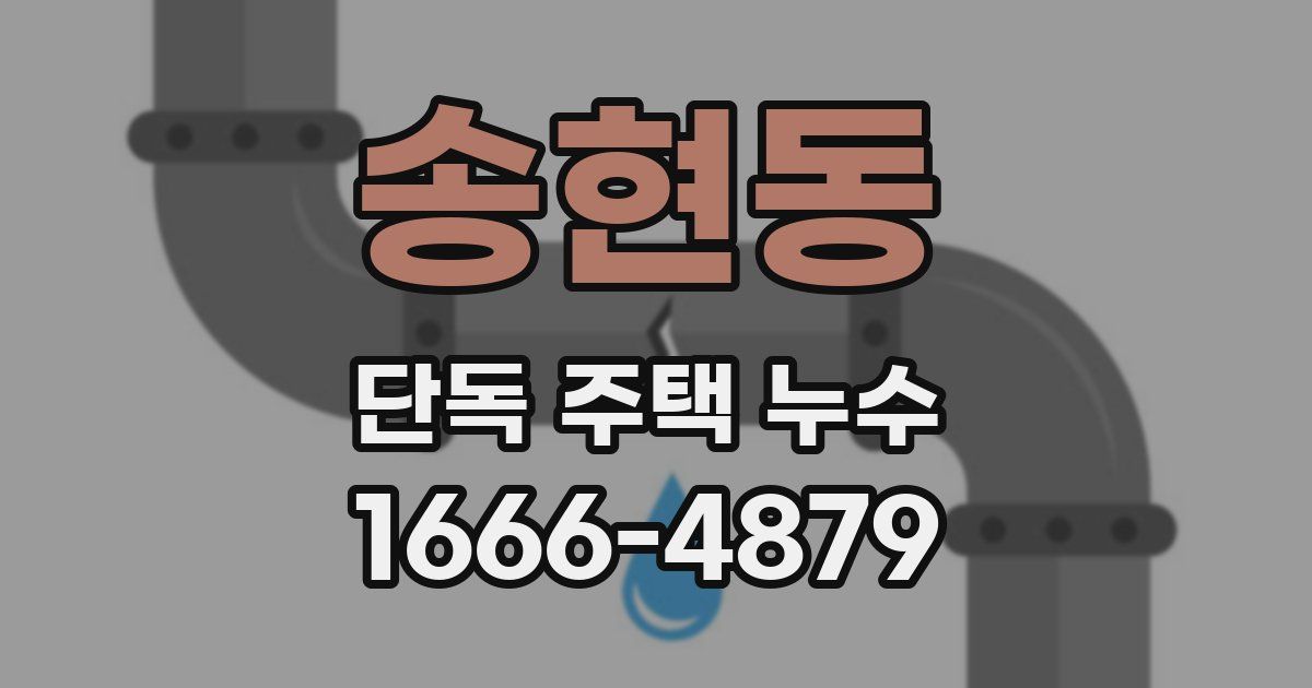 송현동 단독 주택 누수